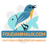 FOUDANIMAUX