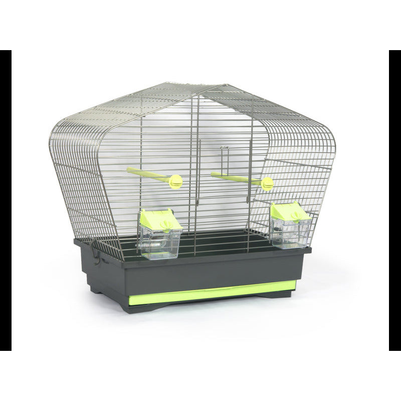 CAGE OISEAU OTTO CITRON