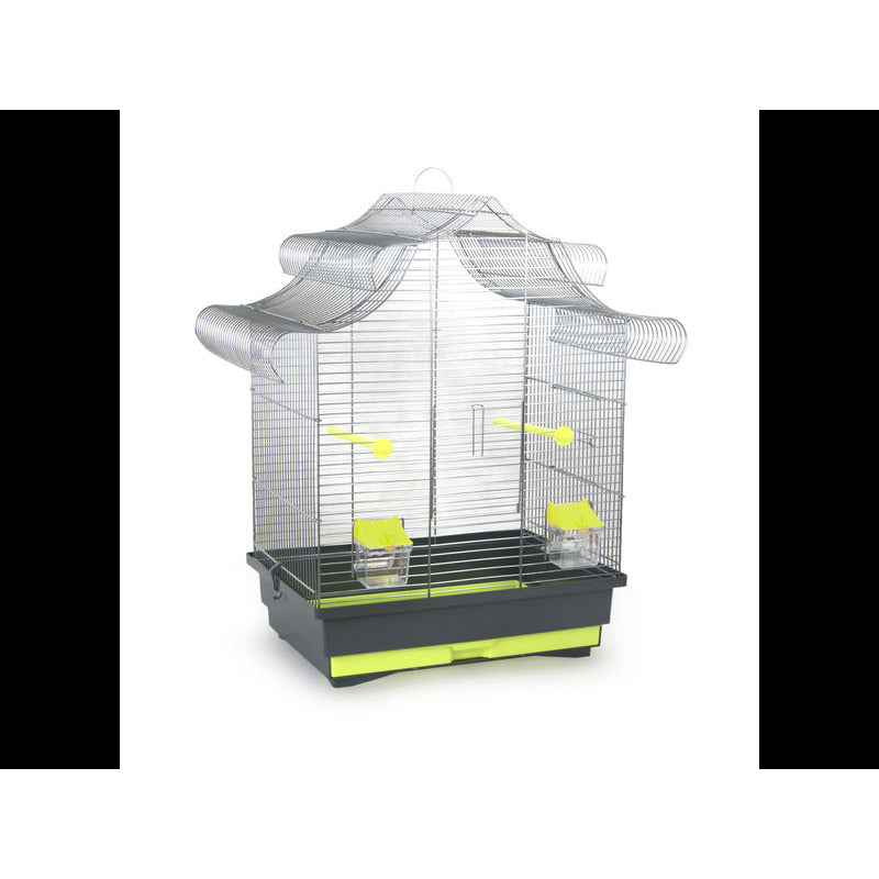 CAGE OISEAU BRUNO CITRON