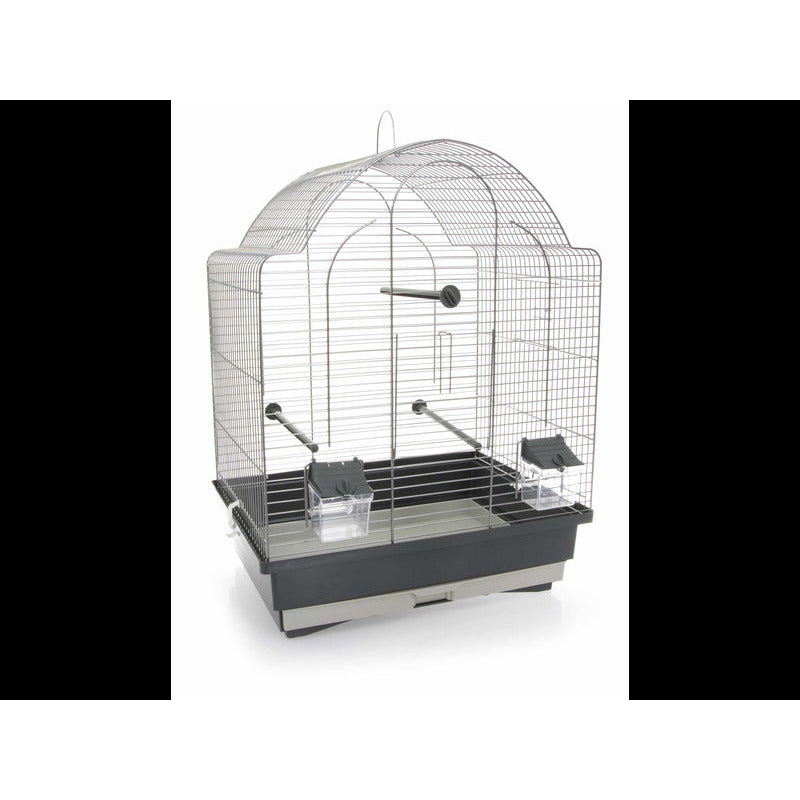 CAGE OISEAU ANTONIO