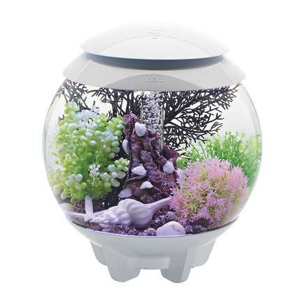 BIORB HALO 30 MCR BLANC AQUARIUM