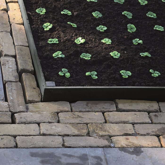 BORDERFIX - bordure de jardin & bassin en PP recyclé - épaisseur 10mm, latte - H14 cm x 2 m