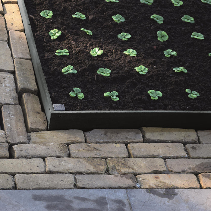BORDERFIX - bordure de jardin & bassin en PP recyclé - épaisseur 10mm, latte - H19 cm x 2 m