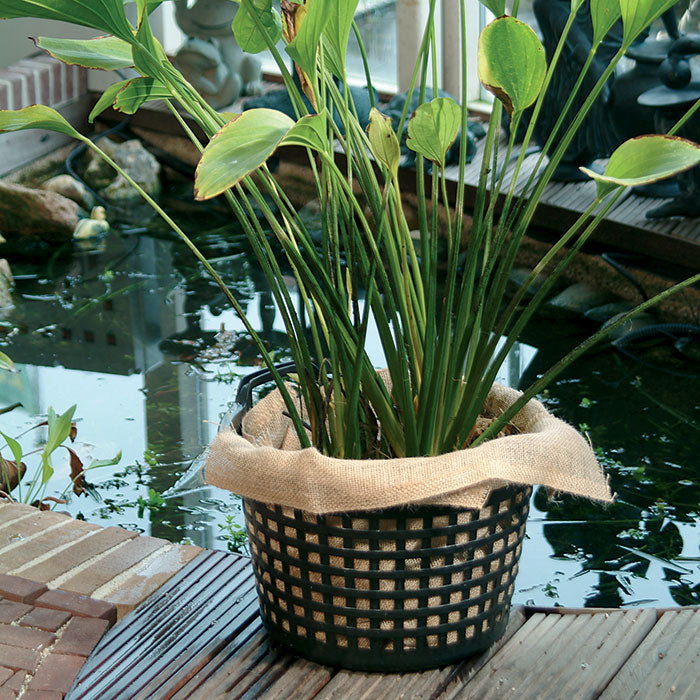 Panier à plantes de bassin, rond - Ø14 x H10 cm