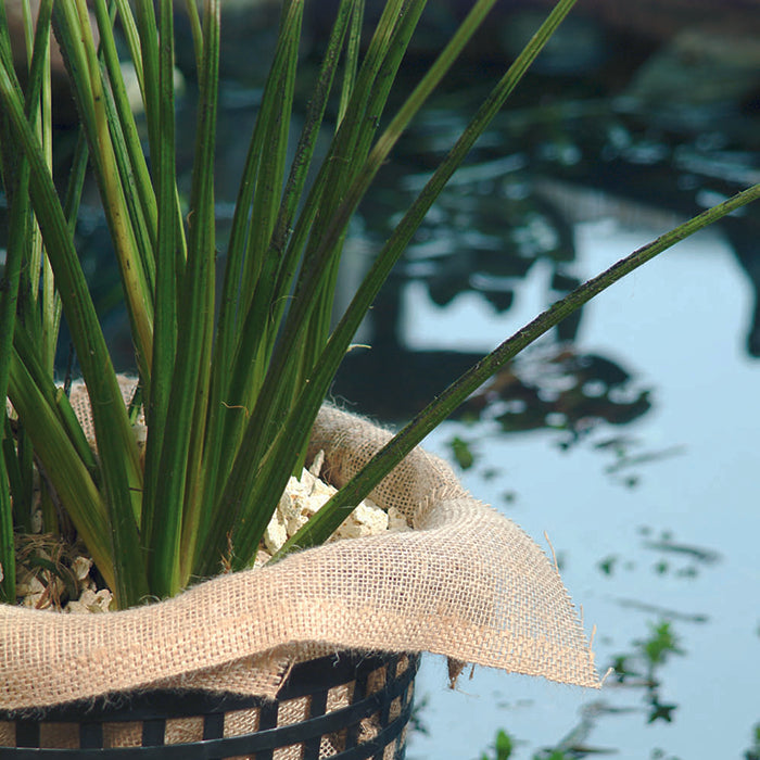 Toiles pour paniers à plantes de bassin - 60 x 60 cm - 3 x
