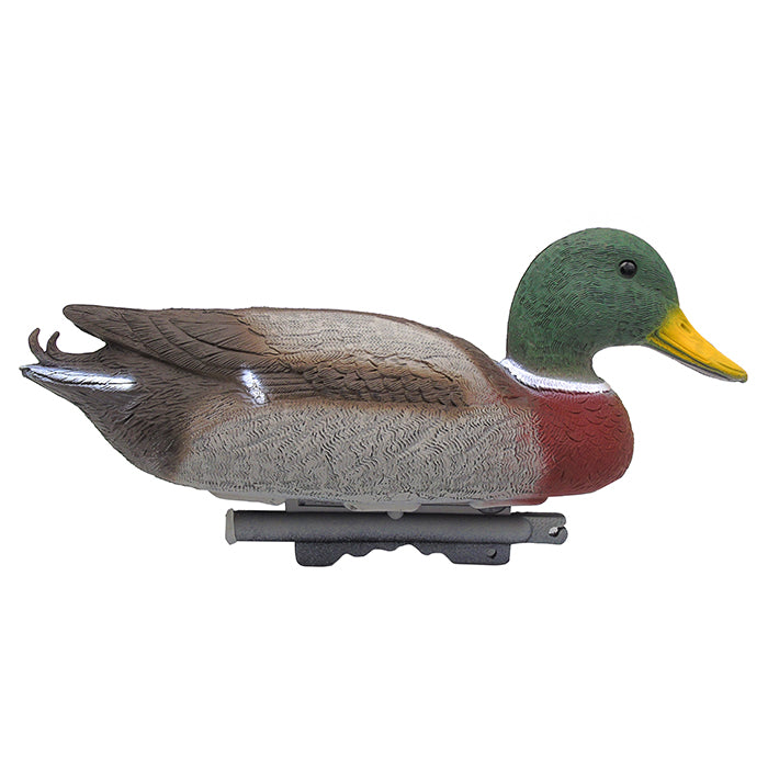 Colvert mâle - L40 cm
