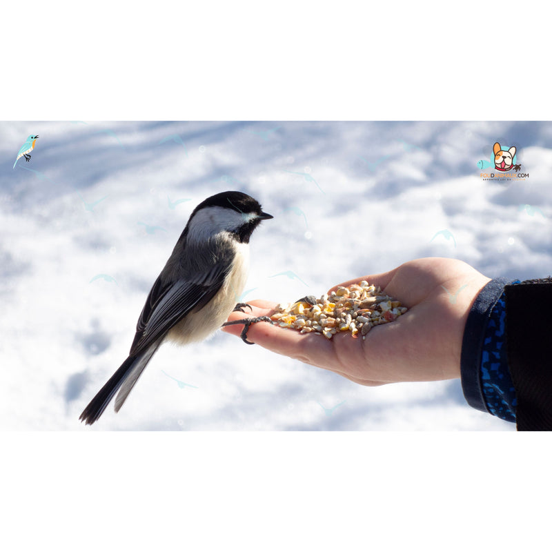 Mélange Mix Menu Hiver pour Oiseaux du Ciel - 7KG