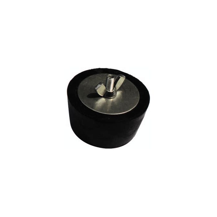 Hiver bouchon 2" RVS