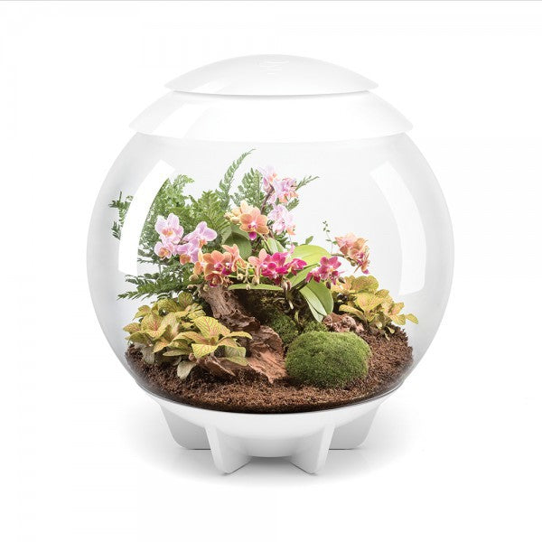 BIORB AIR 60 BLANC - Terrarium automatisé