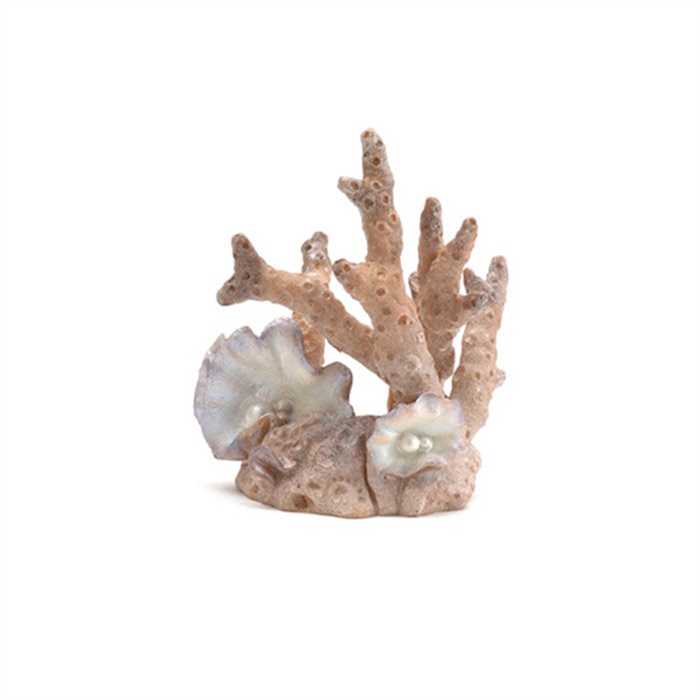 BIORB DECOR CORAIL - AXE CENTRAL - SMALL