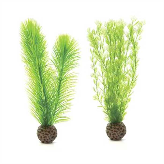 BIORB PETIT SET DE PLANTES VERTES