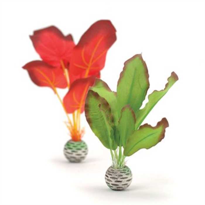 BIORB PETIT SET PLANTES SOYEUSES VERTES/ROUGES