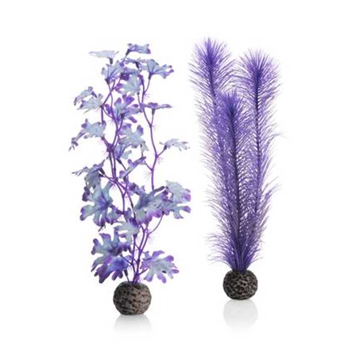 BIORB SET DE PLANTES MOYENNES VIOLETTES