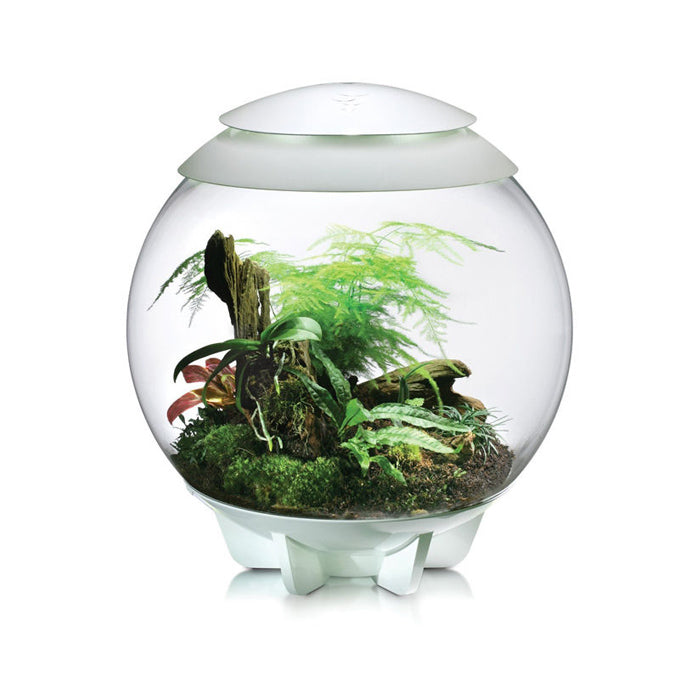 BIORB AIR 60 GRIS - Terrarium automatisé