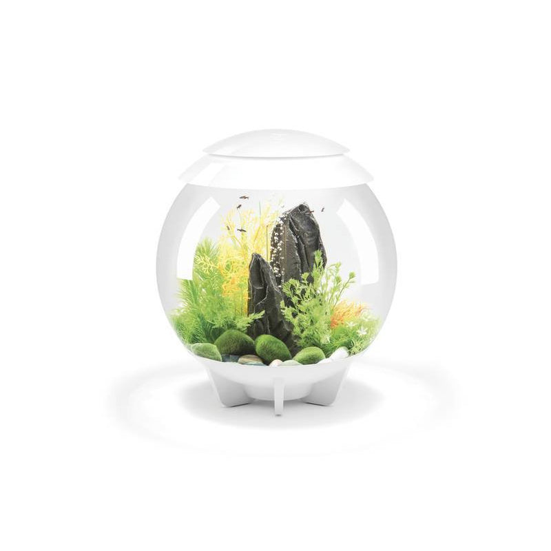 BIORB HALO 30 MCR BLANC AQUARIUM