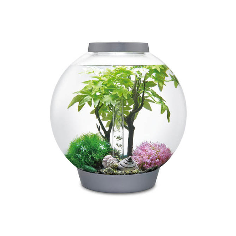 Kit complet de décoration pour BIORB 30L - Summer