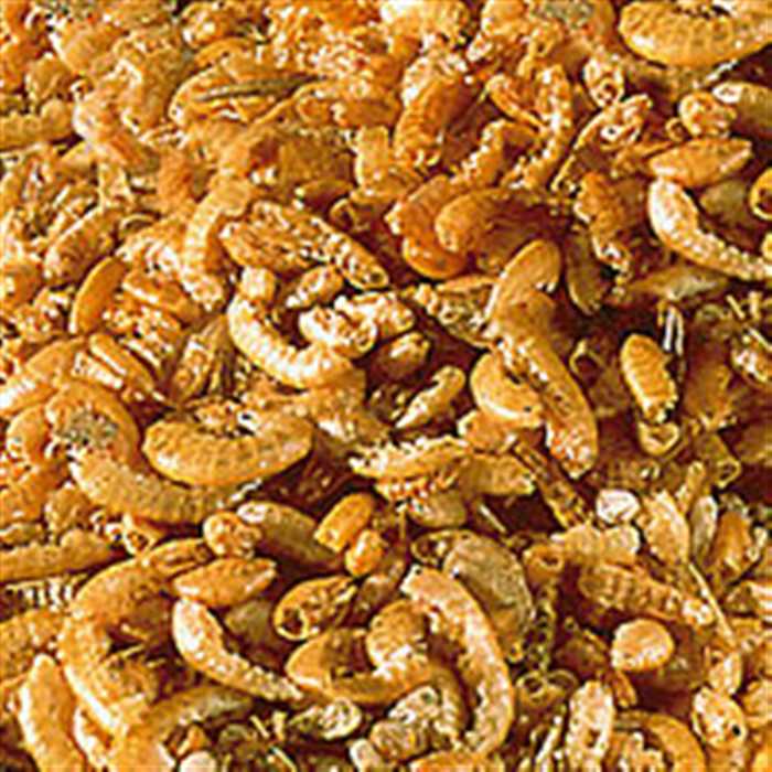 Sera Nourriture SERA RAFFY I 1000ML - 130G NOURRITURE POUR TORTUES D'EAU 4001942017701 01770