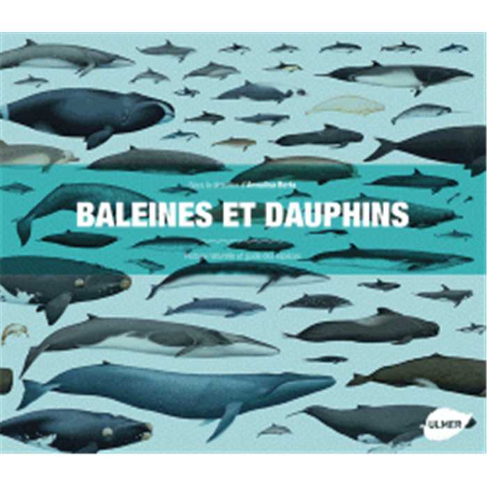 Ulmer Librairie BALEINE ET DAUPHINS - Histoire naturelle et guide des espèces 9782841388516 9782841388516